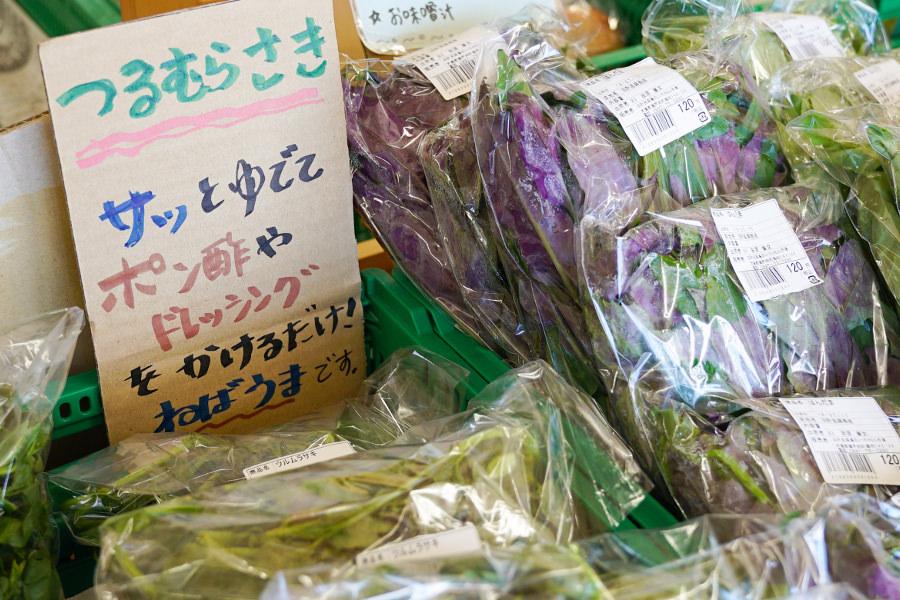 なかなかお目にかかれない島野菜の調理法も教えてくれています