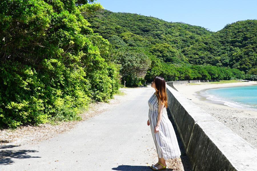 加計呂麻島の諸鈍（しょどん）集落には、樹齢300年以上のデイゴの並木道があります。海沿いの道は歩くだけでも写真映えするスポット。デイゴ並木と加計呂麻ブルーの海をバックに、思い出の一枚を撮影してみて