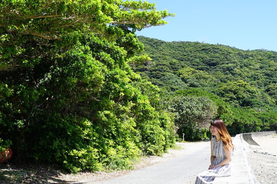 デイゴ並木も長いので奥まで歩いて入ってみて。サンゴの石垣やT字路には魔除けの石敢当があり、集落唯一の林商店では美味しい黒糖が売られています