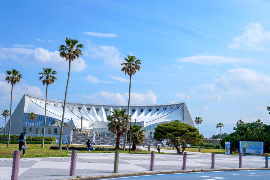 マリンワールド海の中道