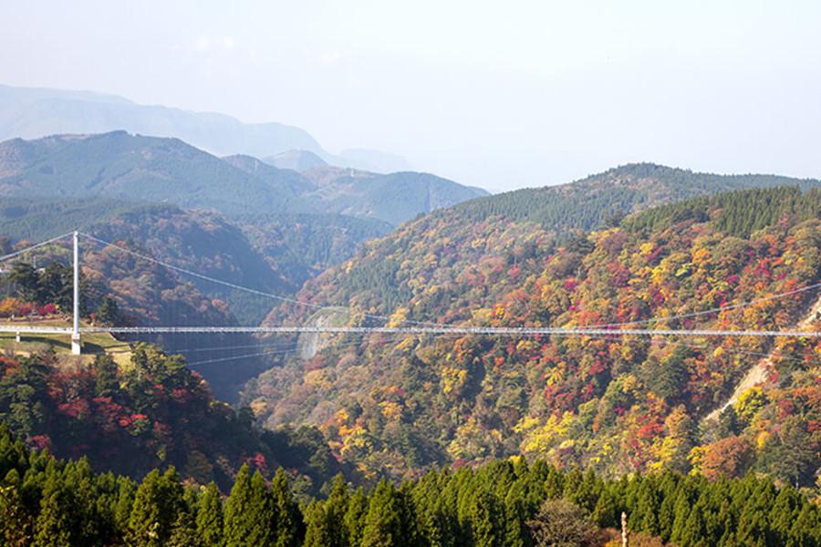 九重“夢”大吊橋