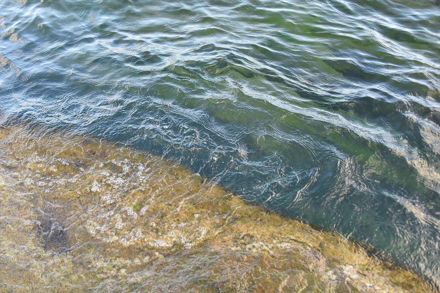 洞爺ピクニックカヌー16