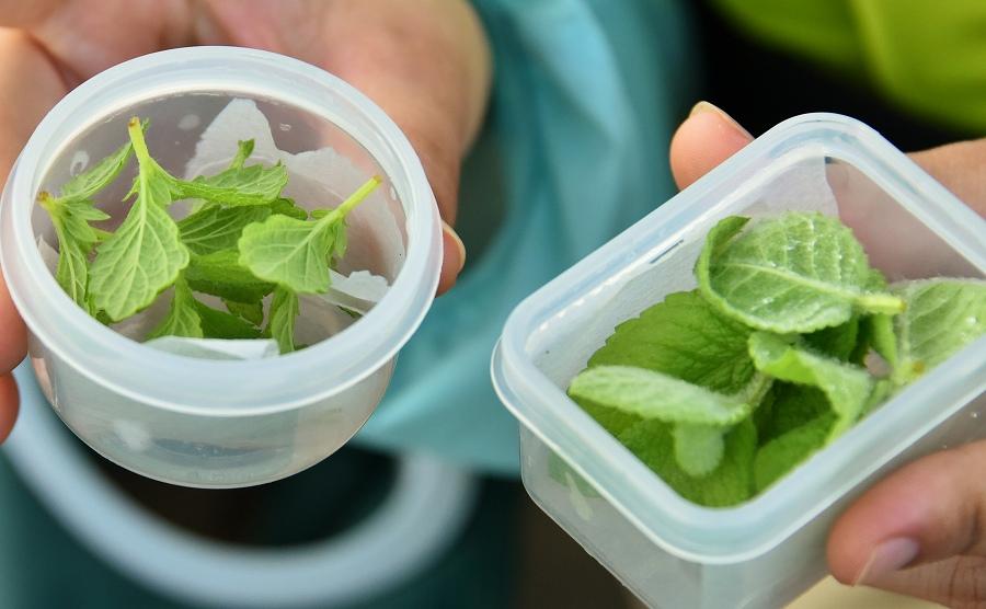 洞爺ピクニックカヌー20