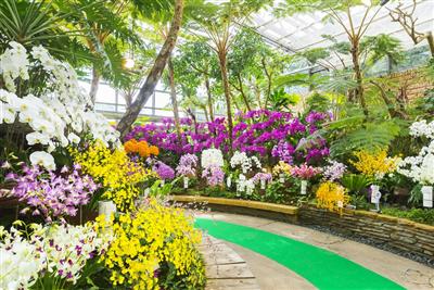 沖縄旅行 2月のおすすめイベント