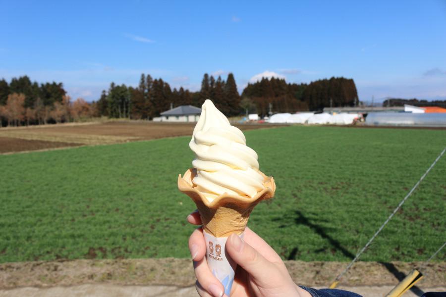 ▲周辺で採れたスイートコーンで作られた名物の「とうもろこしソフト」 周辺で採れたスイートコーンで作られた名物の「とうもろこしソフト」