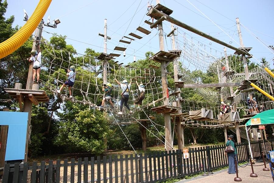 コースは3つで上級者向けの9メートルコースはスリル満点