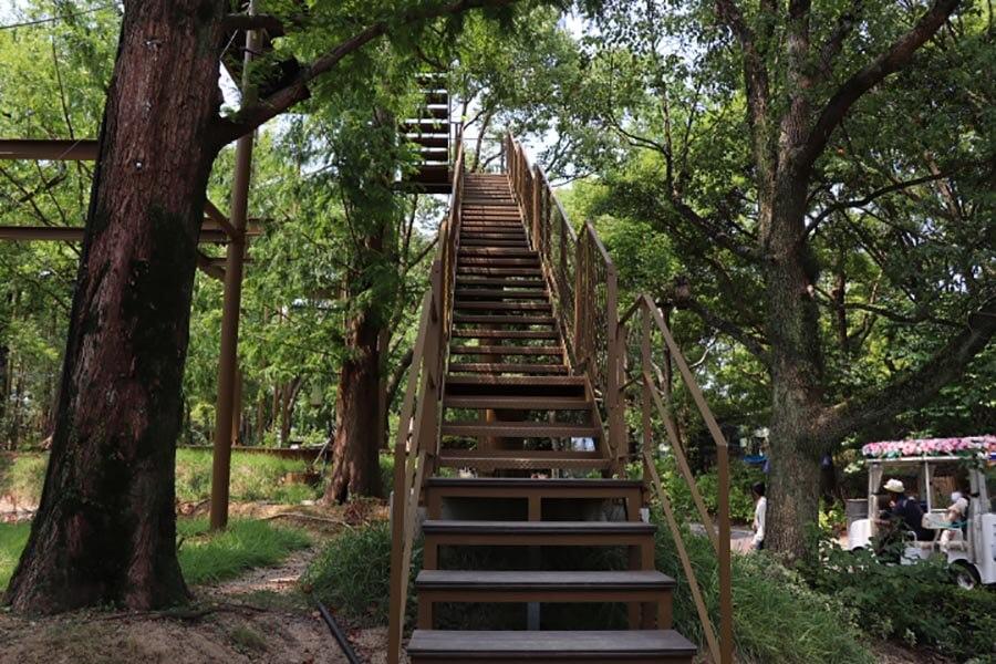 この階段を上ったところがスタート地点