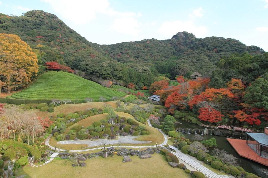 ▲紅葉が広がる美しい日本庭園を散策してみましょう ▲紅葉が広がる美しい日本庭園を散策してみましょう