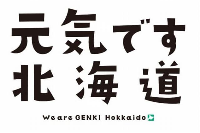 木ニセコ_元気です北海道