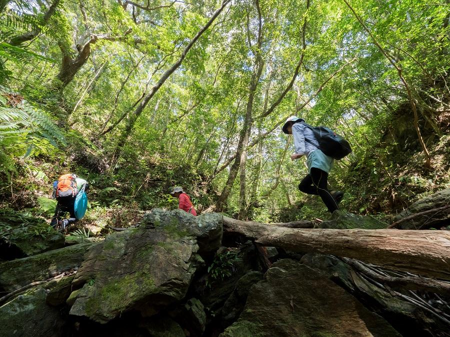 SUP体験中の人と遠浅の海