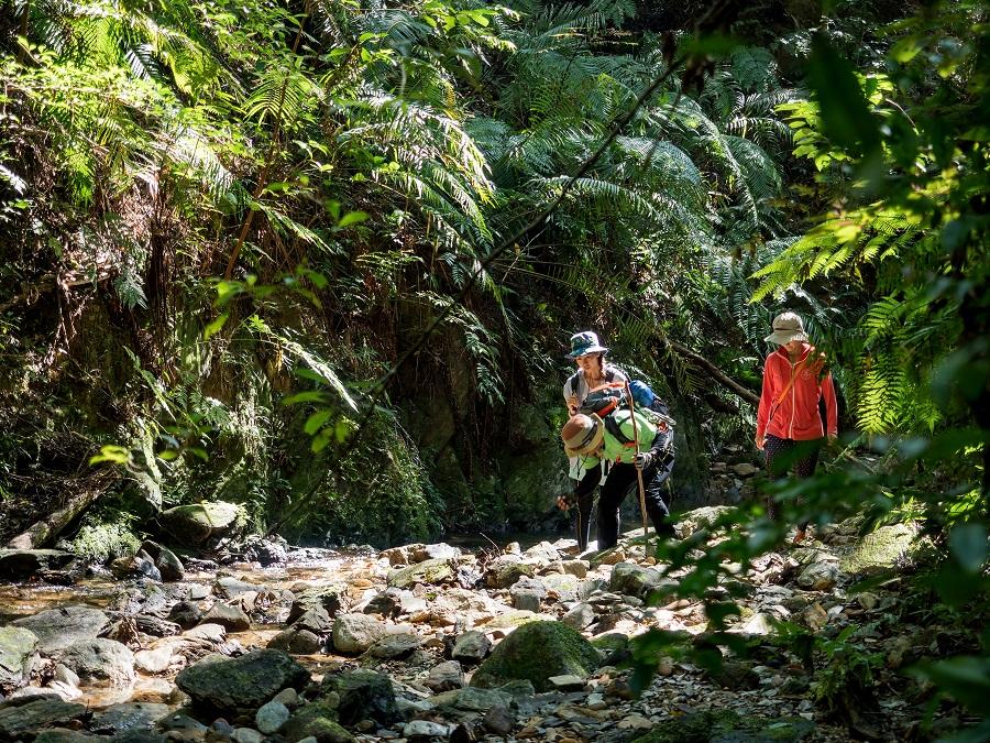 ドングリを見つける