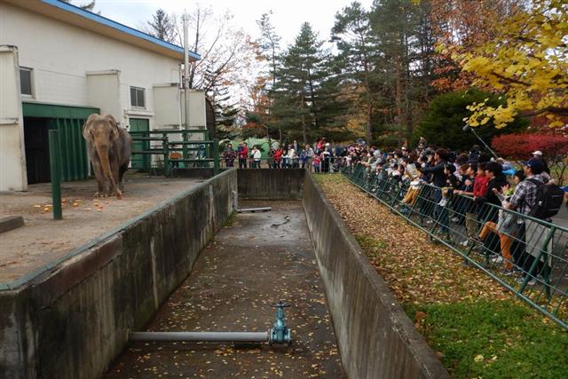 おびひろ動物園_003