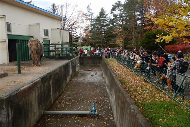 動物園 帯広