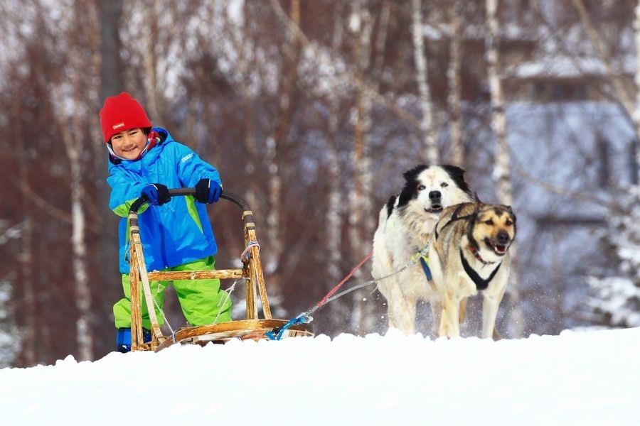 リゾートライナー＿ルスツリゾート2