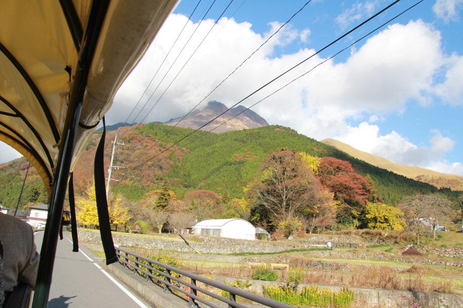 車内からは立派な由布岳を望めます
