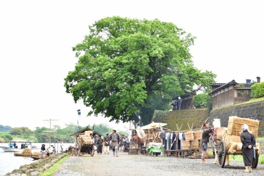 ▲100年前の玉名の賑わいを市史跡「高瀬船着場跡」で再現