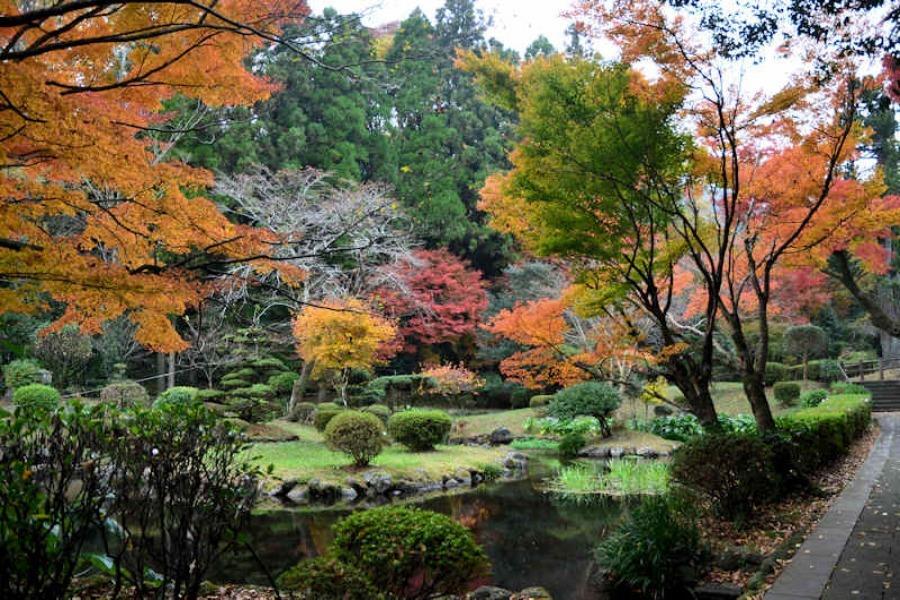 ▲「的石御茶屋跡」は四季折々を感じられる人気スポットです ▲「的石御茶屋跡」は四季折々を感じられる人気スポットです