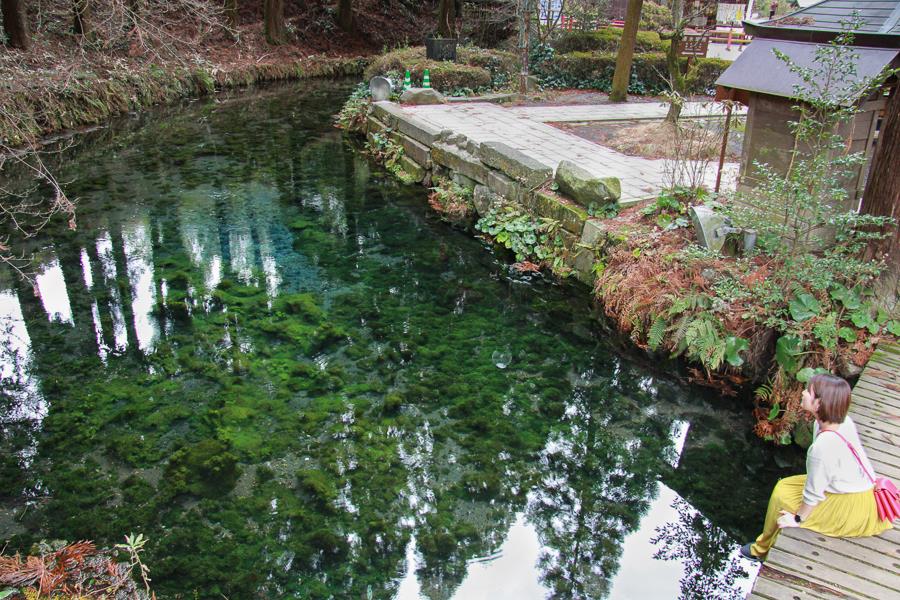 地底まで見えるほど、透明度抜群！毎分60トンもの湧水が、勢いよくこんこんと湧き出ています