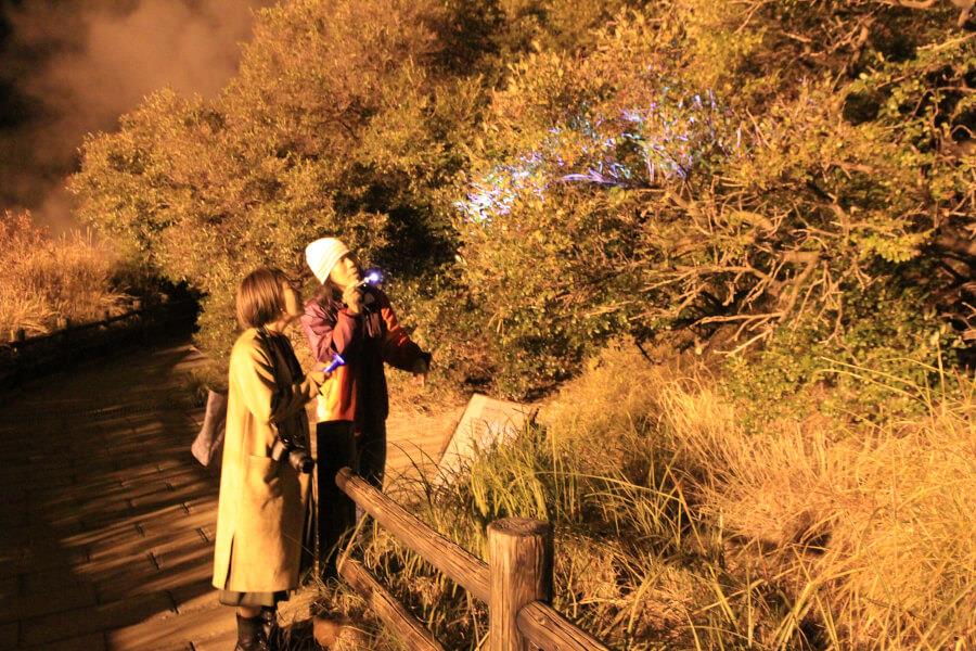 雲仙地獄内は国立公園に指定。ブルーベリーなどの自然も豊富