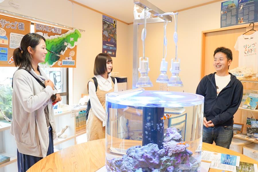 喜界島には、日本で唯一のサンゴ礁の研究に特化した「喜界島サンゴ礁科学研究所」があります。研究所にはミニミュージアムやカフェが併設されており、見学ができます