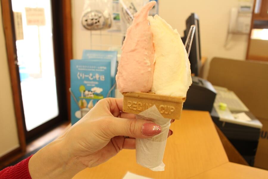 屈斜路湖ハクチョウ探しの旅3-5