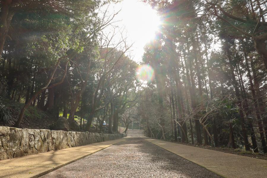 木漏れ日の中の静寂の時