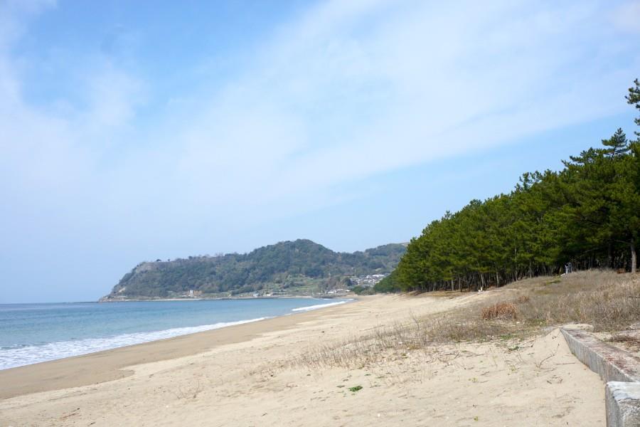 約2キロメートルにわたる白砂ビーチ「野田浜」。「日本の名松100選」に選ばれた美しい松林もあります。