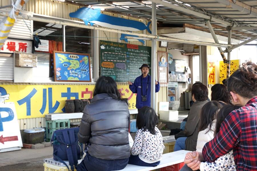 野生のイルカに1年中会えるという「かづさイルカウォッチング」。船長歴が10年以上の船長さんたちが、イルカのポイントまで船で案内してくれます。