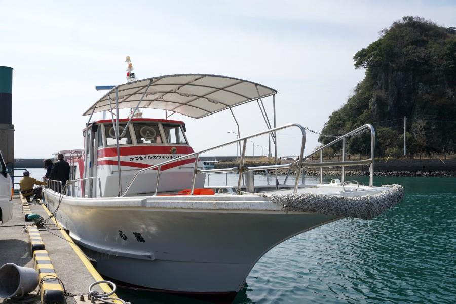 さあ、船に乗り込んでいざ出発！ちゃんとイルカに会えるかドキドキです。