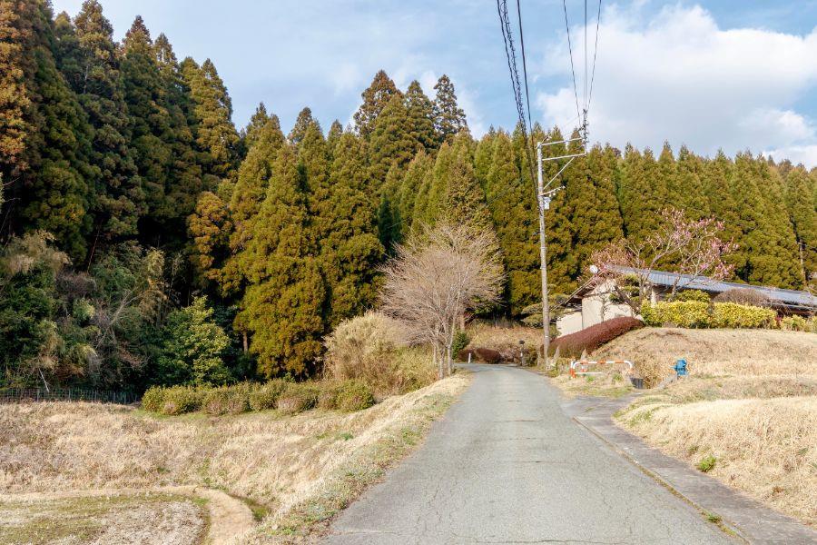田の原温泉側の麓より坂道を上ります