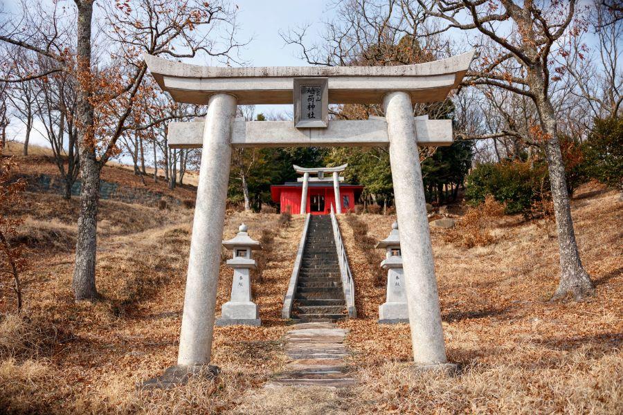 どっしりと構えた鳥居と社殿が牧野の中に出現！