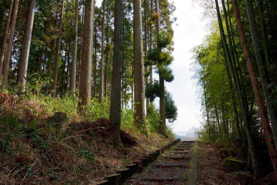 駐車場から歩きます