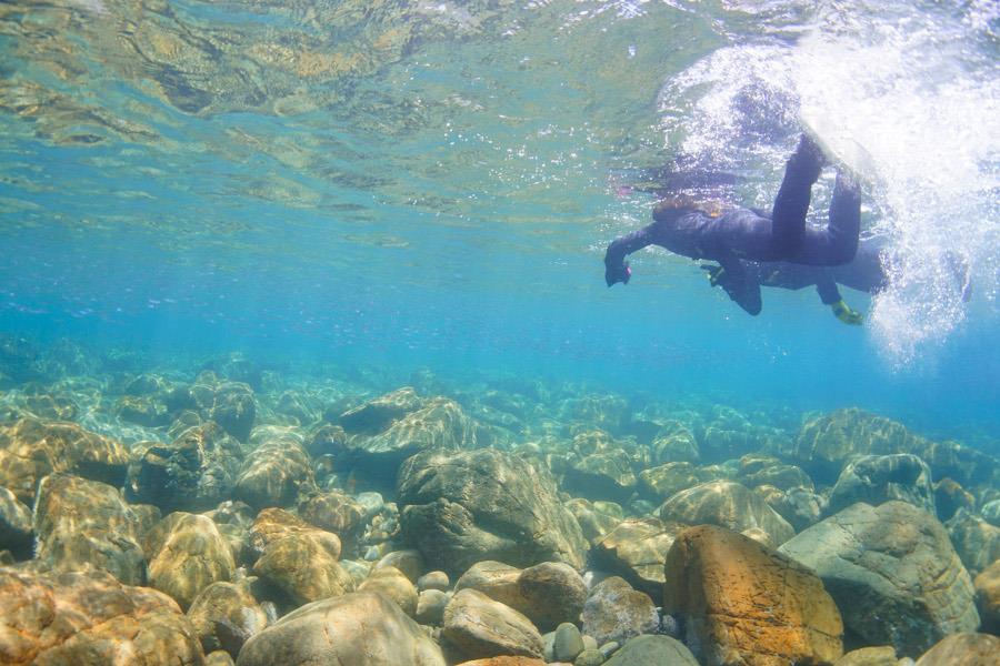 シュノーケリング体験で天草の海を覗いてみて シュノーケリング体験で天草の海を覗いてみて