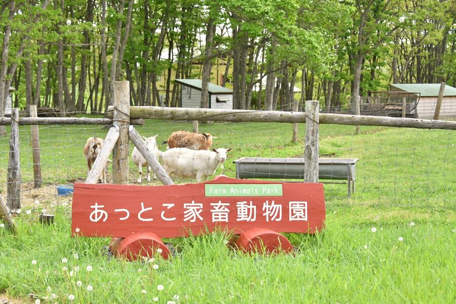 道東の魅力にふれる旅11