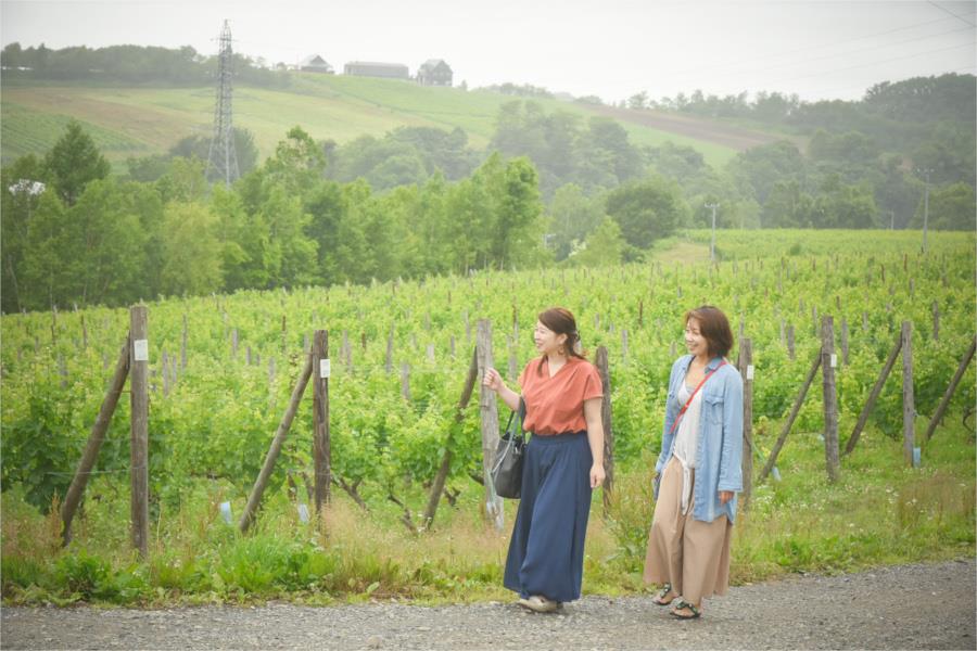 ワインタクシー2-1