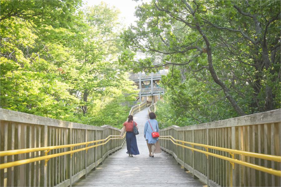 リトリートリップ2-1