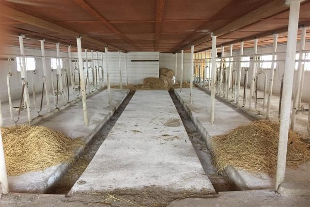 新得町なつぞらロケ地003 新得町なつぞらロケ地003