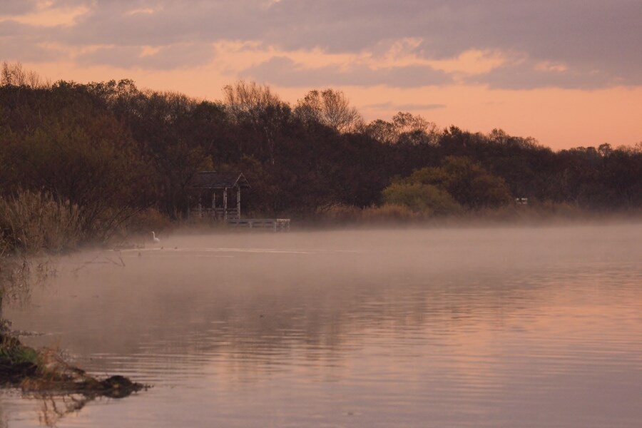 野鳥好きの聖地・ウトナイ湖へ5-1
