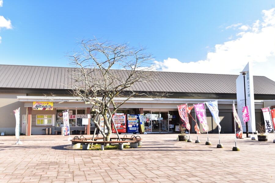 野鳥好きの聖地・ウトナイ湖へ1-1