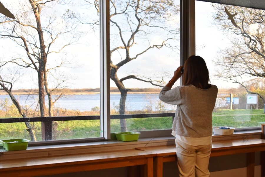 野鳥好きの聖地・ウトナイ湖へ1-2