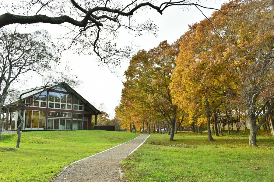 野鳥好きの聖地・ウトナイ湖へ1-5