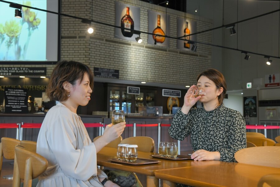 野鳥好きの聖地・ウトナイ湖へ4-4