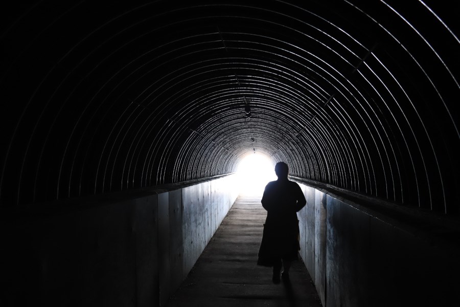野鳥好きの聖地・ウトナイ湖へ2