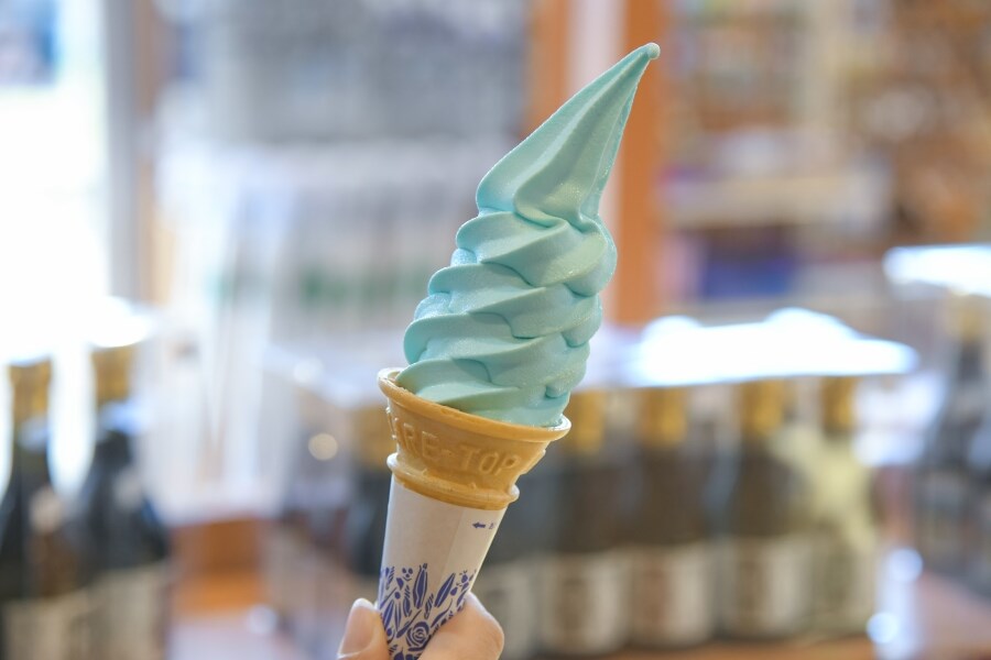 野鳥好きの聖地・ウトナイ湖へ2