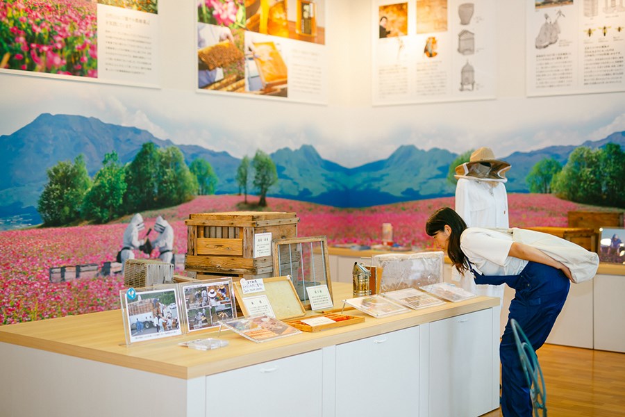 養蜂の歴史、はちみつの製造工程が学べる展示コーナー
