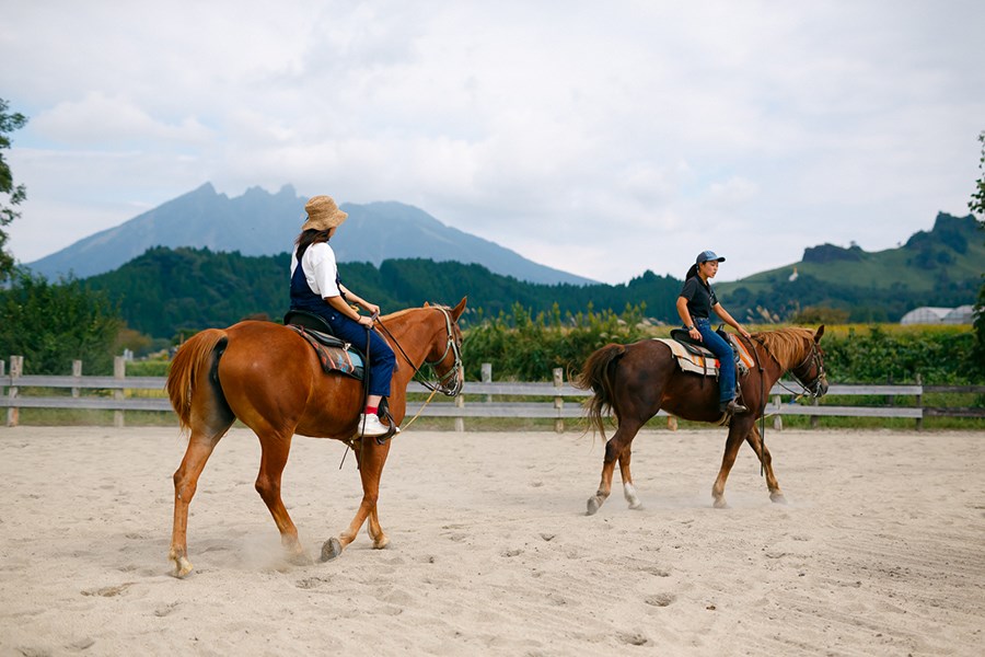 20分の体験乗馬