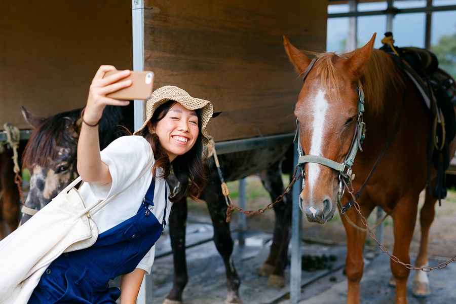 クォーターホースと写真撮影