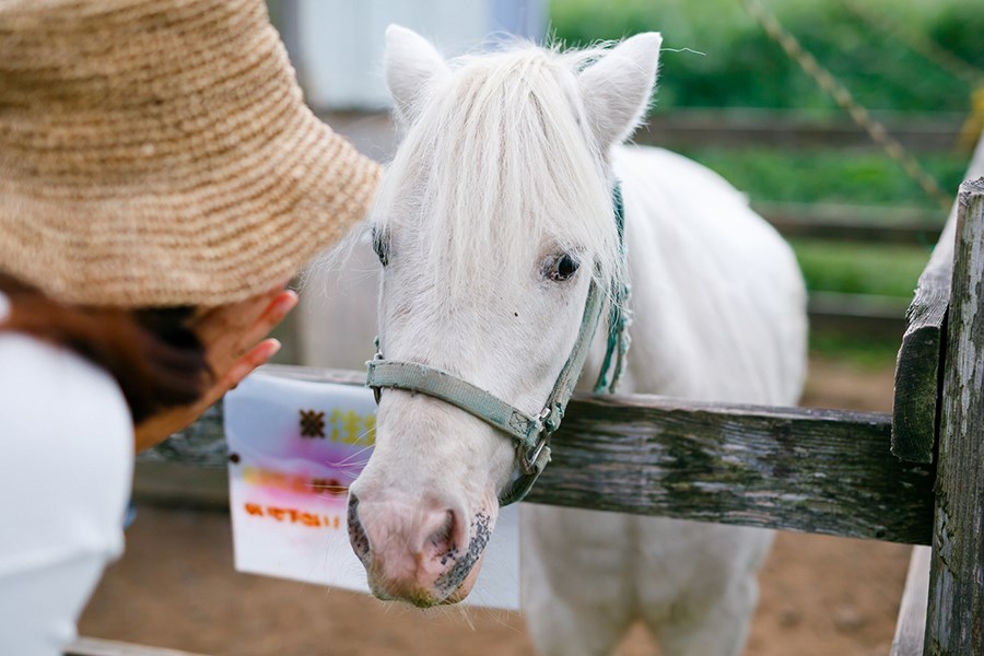 入り口にはポニーのビンゴくん