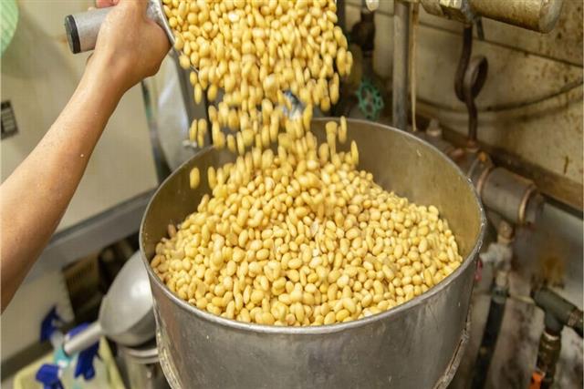 玄人衆豆腐の吟醸粕味噌漬003