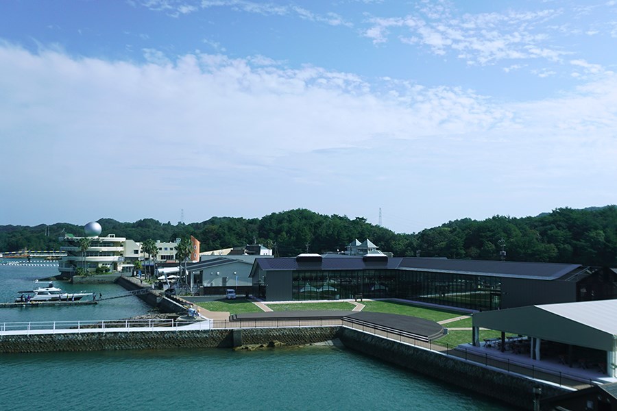 ミオ・カミーノ天草